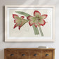 Amaryllis Varietals IV-Premium Framed Print - Ready to Hang