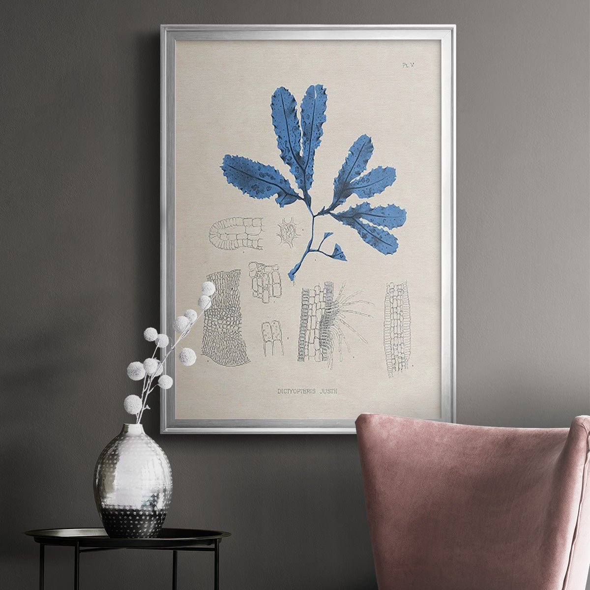 Blue Marine Algae VII - Modern Framed Canvas Print