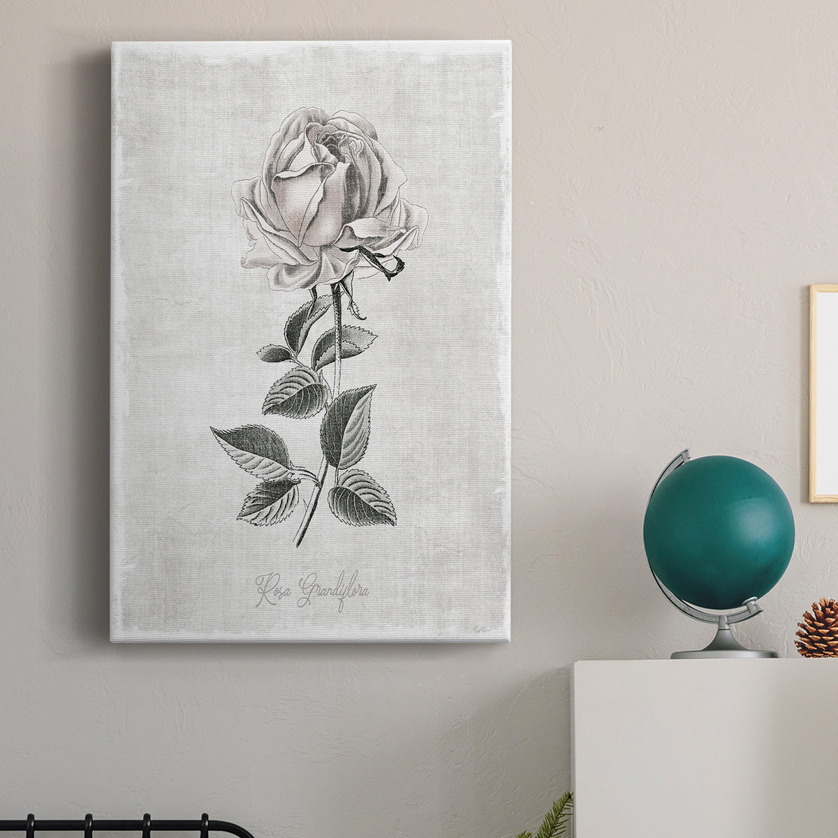 Vintage Botanical II Premium Gallery Wrapped Canvas - Ready to Hang