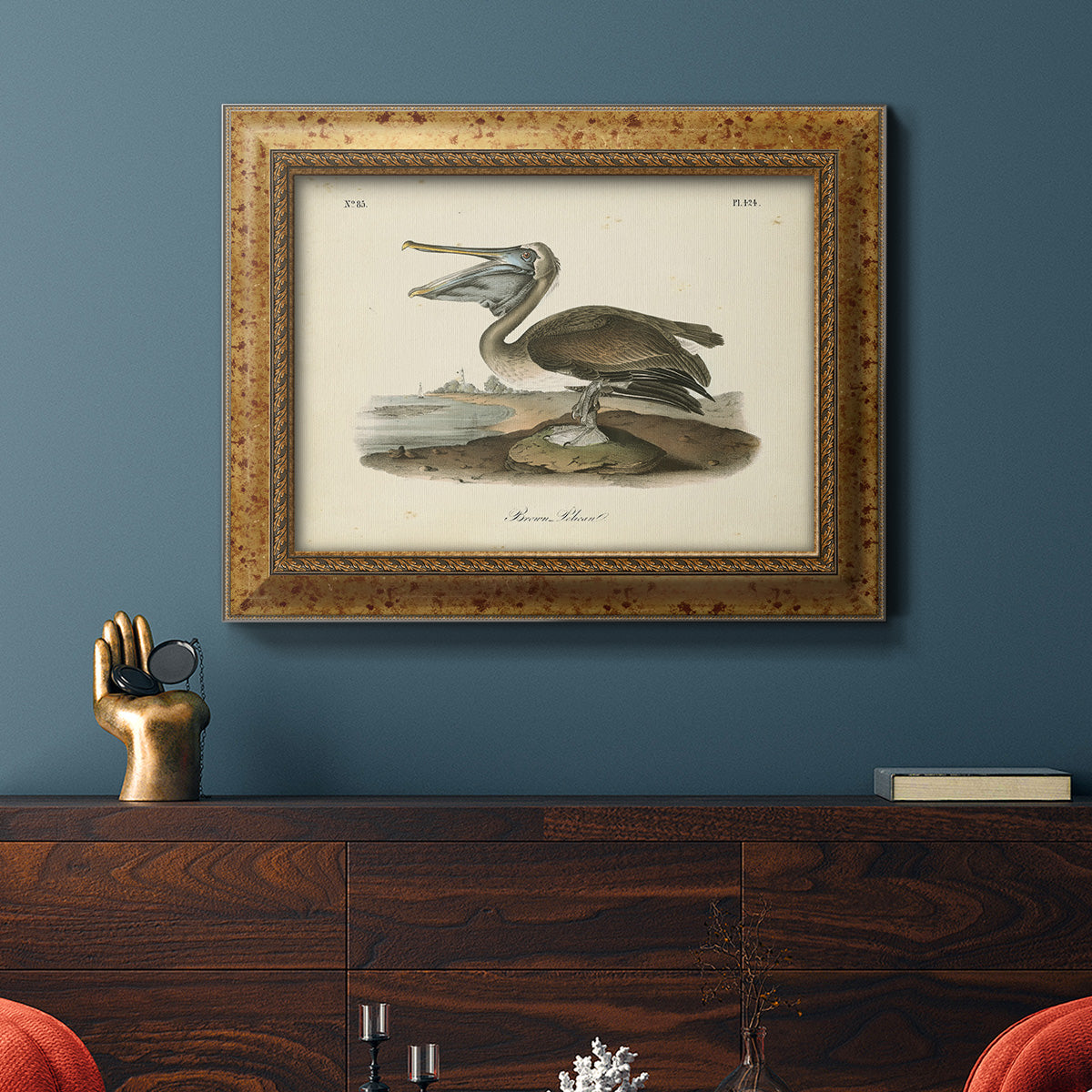 Audubons Brown Pelican - Ornate Framed Canvas Print