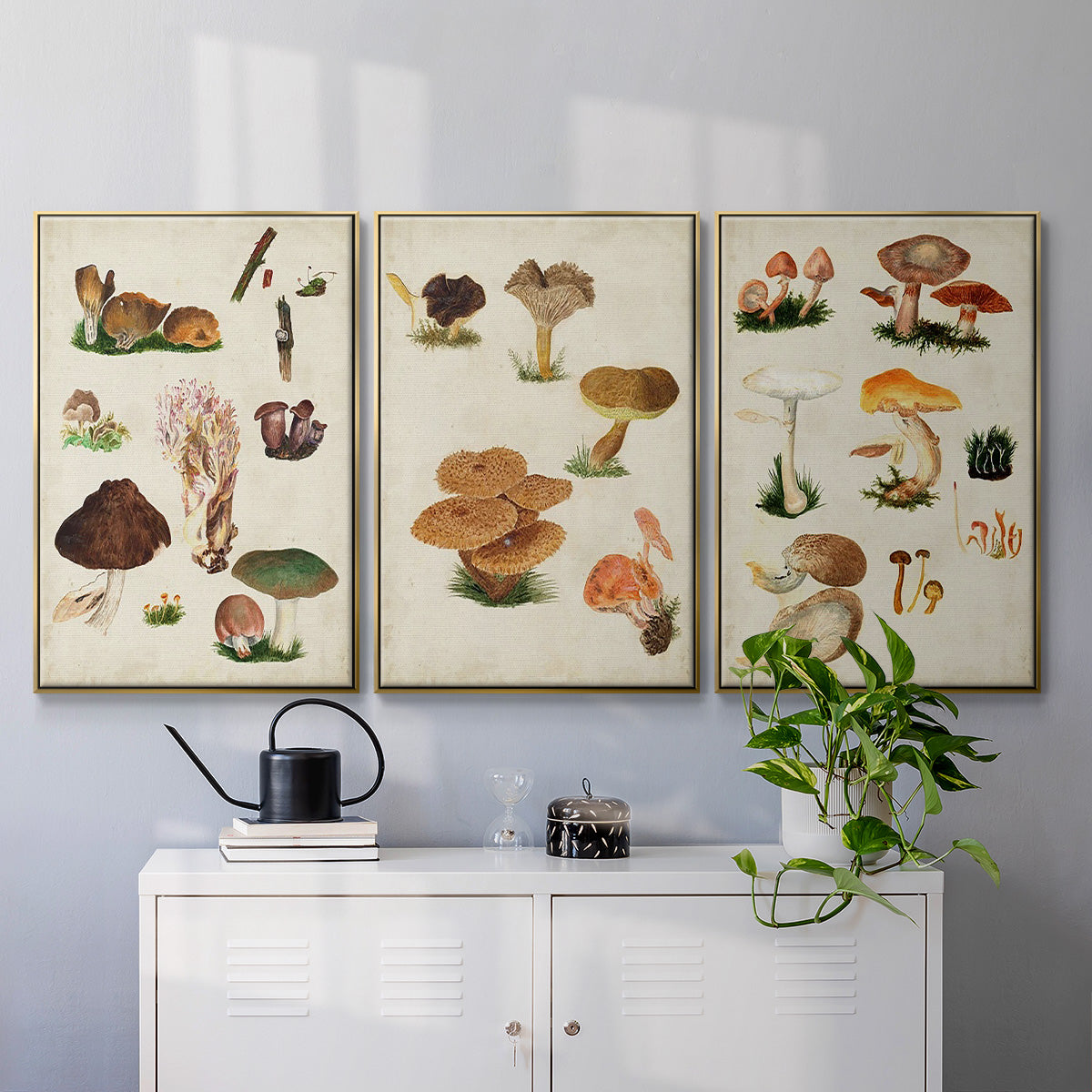 Mushroom Species I - Framed Premium Gallery Wrapped Canvas L Frame 3 Piece Set - Ready to Hang