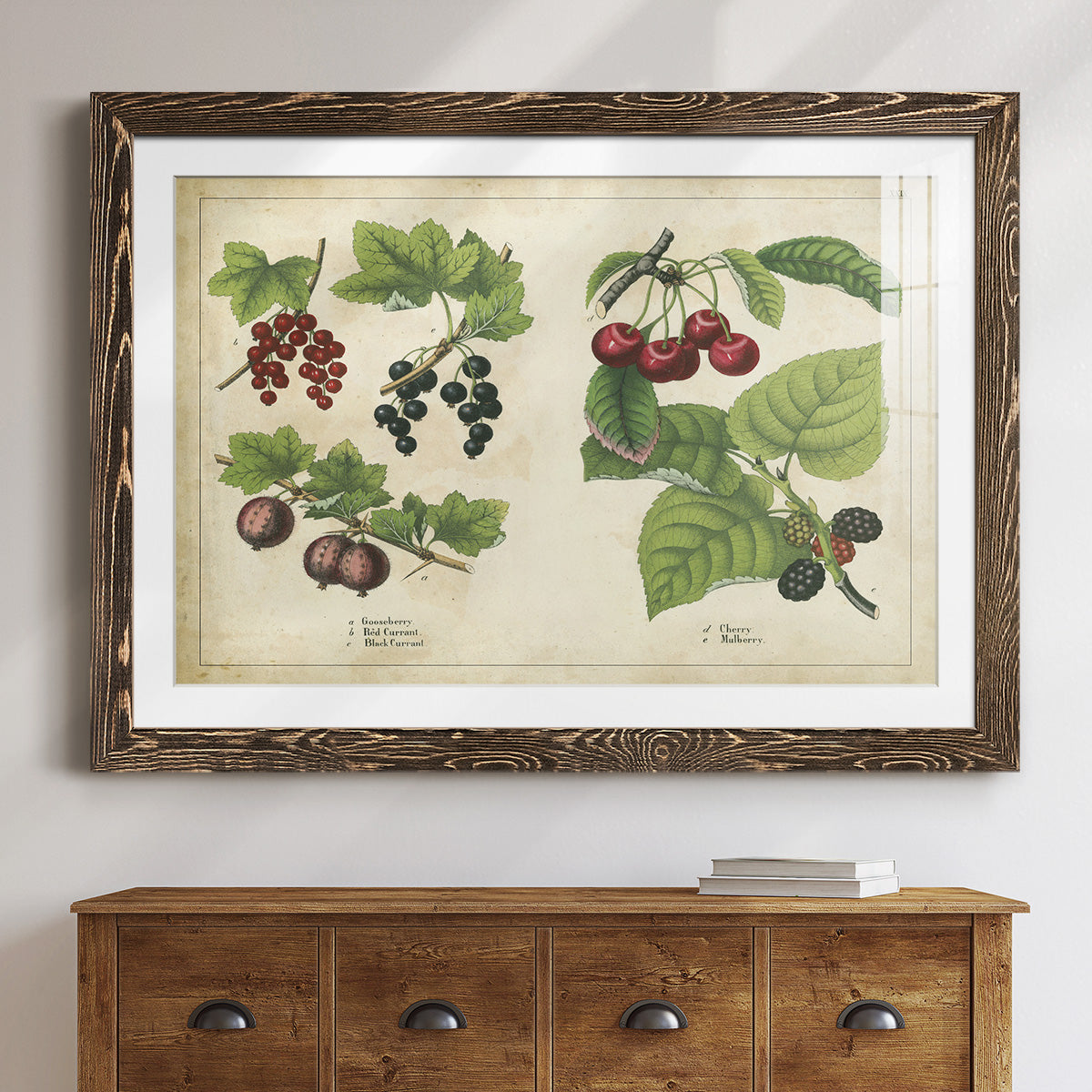 Kitchen Fruits III-Premium Framed Print - Ready to Hang