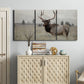 Three-panel canvas wall art featuring elk standing in open grassland, displayed above a cabinet in an entryway.