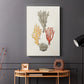 Knorr Shells & Coral IV - Canvas Art Print