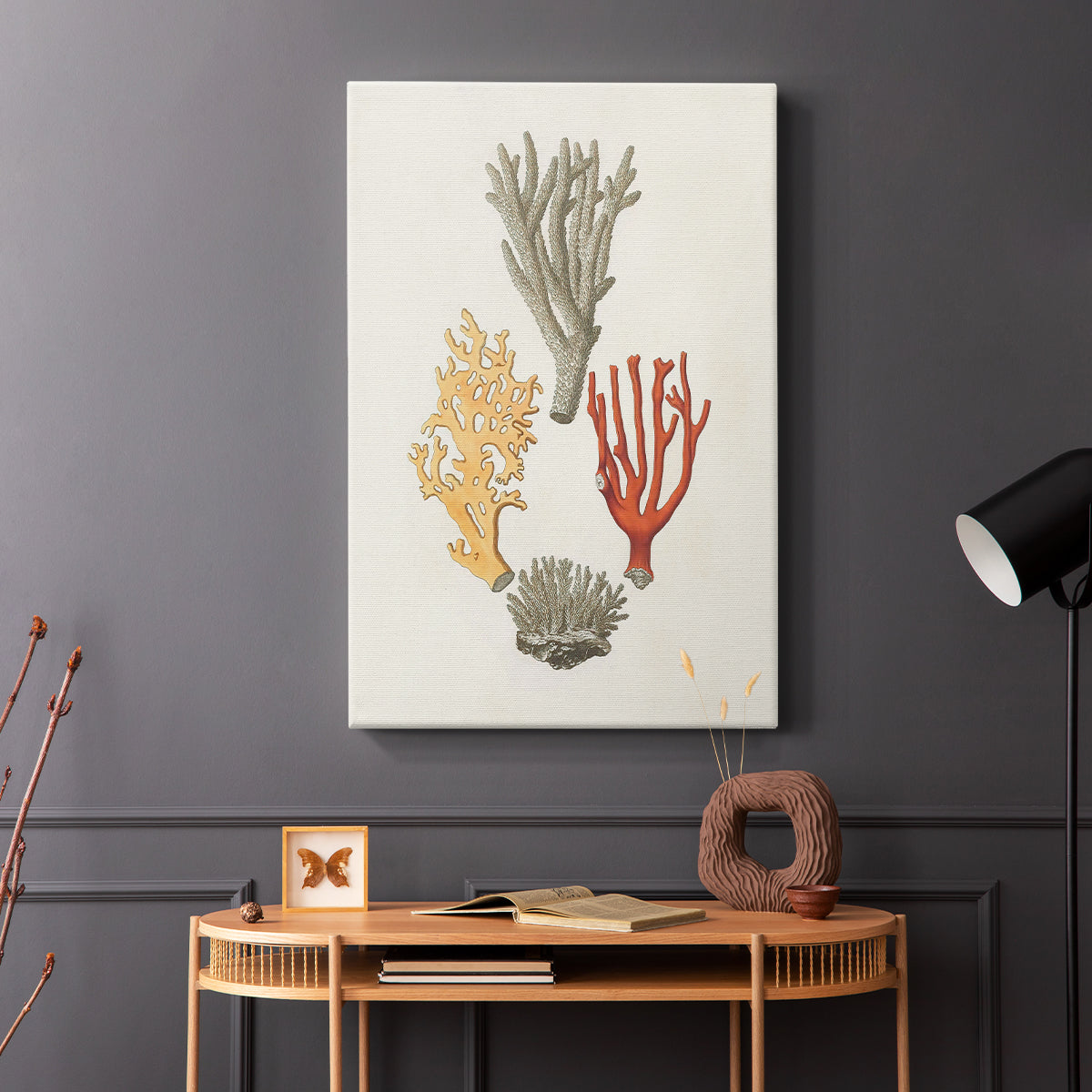 Knorr Shells & Coral IV - Canvas Art Print