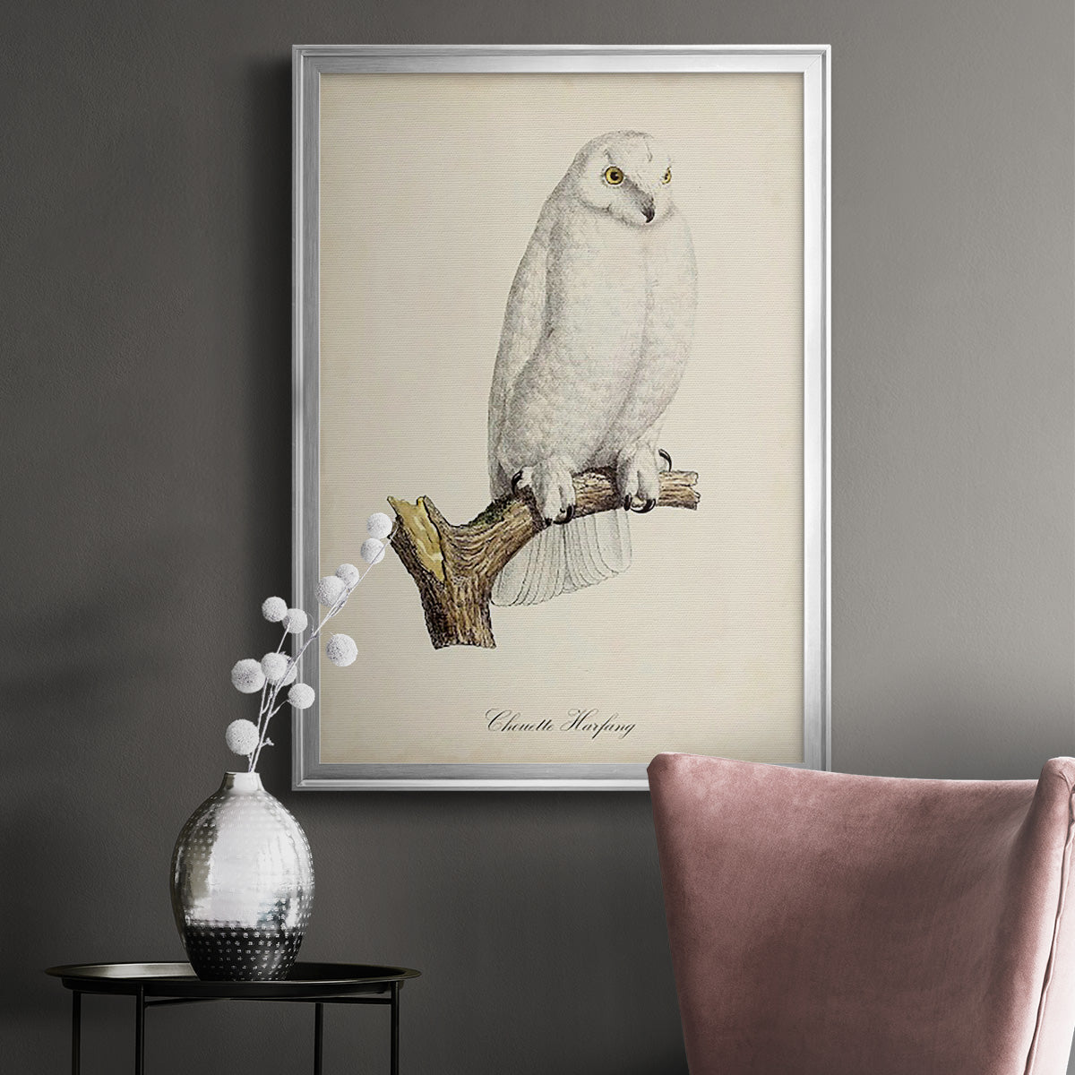 French Owls IV - Modern Framed Canvas Print