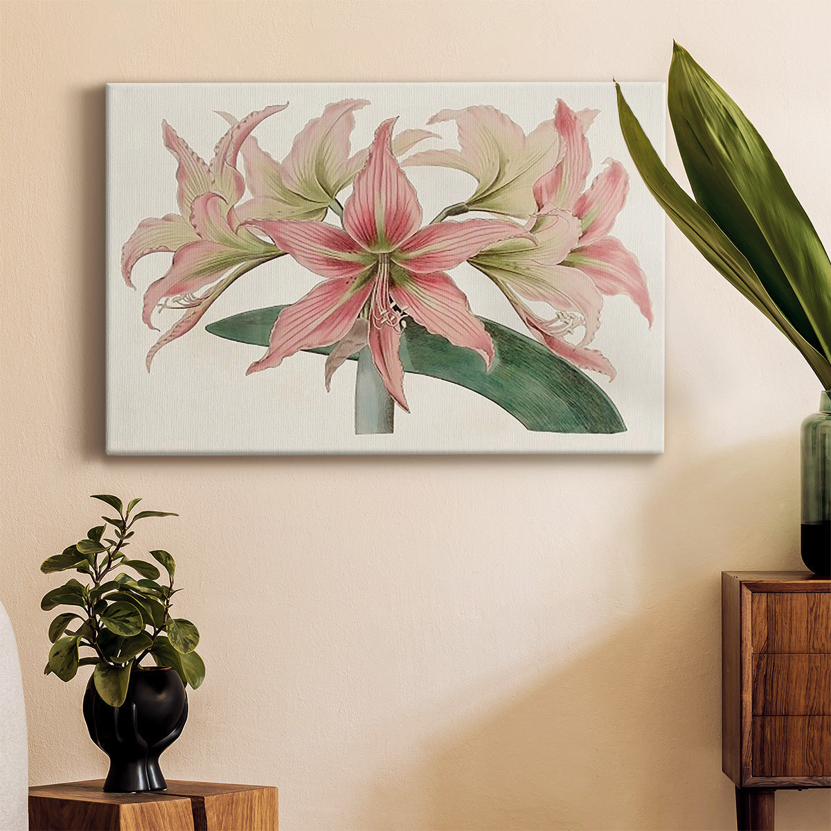 Amaryllis Varietals I Premium Gallery Wrapped Canvas - Ready to Hang