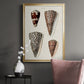 Cone Shell Collection I - Modern Framed Canvas Print
