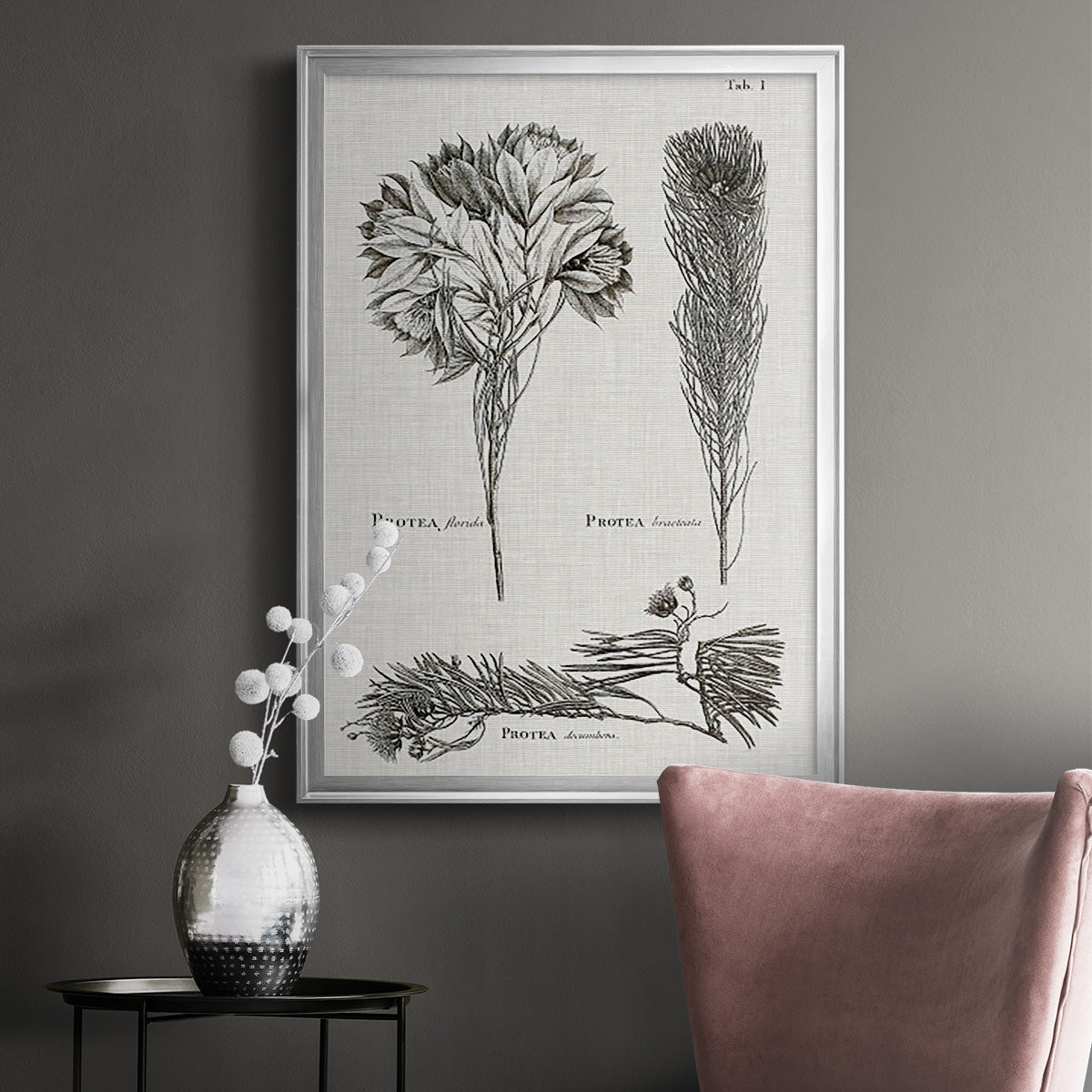 Black & White Protea on Linen I - Modern Framed Canvas Print