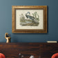 Audubons Louisiana Heron Premium Framed Canvas- Ready to Hang