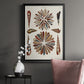 Spiral Shell Formation III - Modern Framed Canvas Print