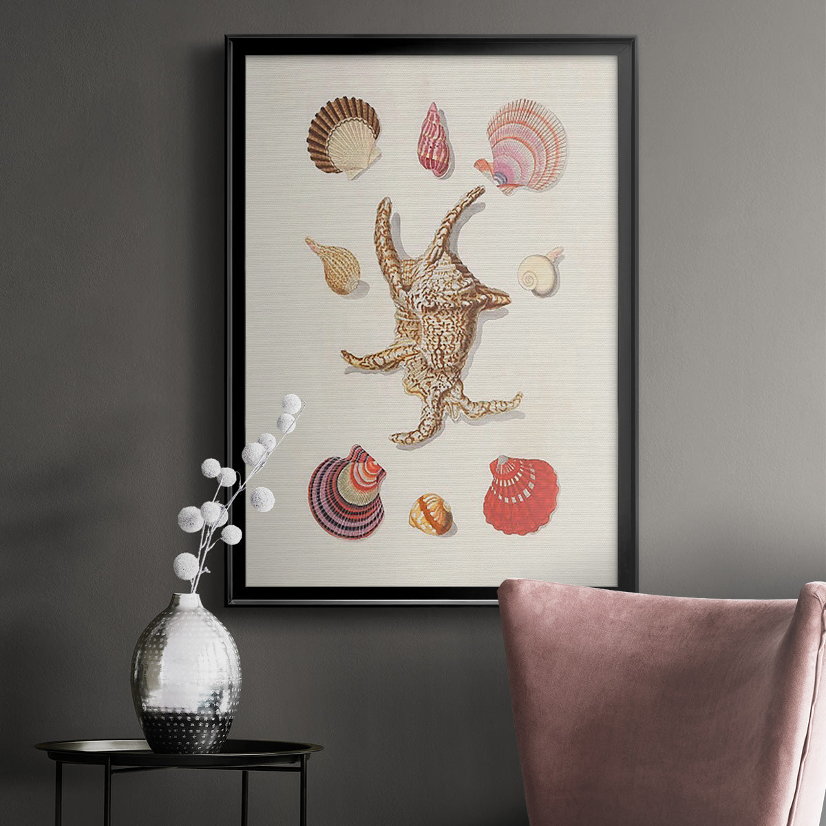 Knorr Shells & Coral II - Modern Framed Canvas Print