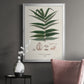 Botanical Society Ferns XII - Modern Framed Canvas Print