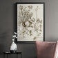 Sepia Botanical Journal IX - Modern Framed Canvas Print