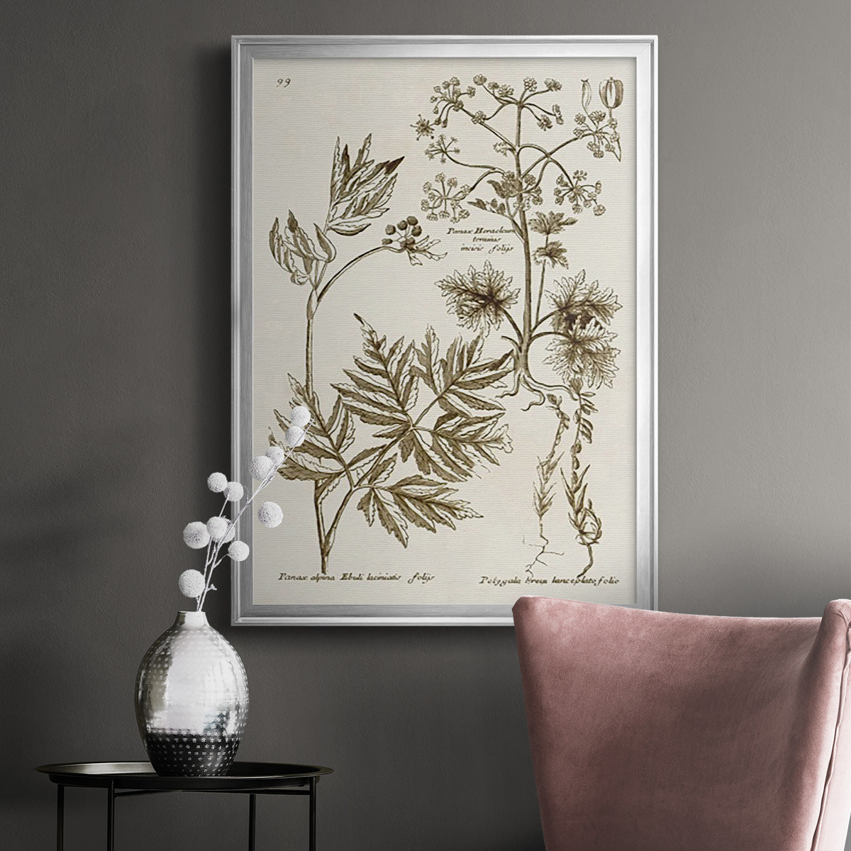 Sepia Botanical Journal III - Modern Framed Canvas Print