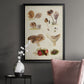 Mushroom Species III - Modern Framed Canvas Print