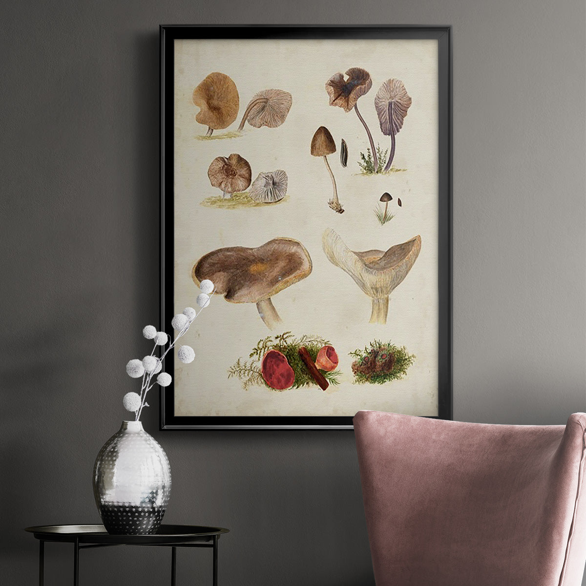 Mushroom Species III - Modern Framed Canvas Print