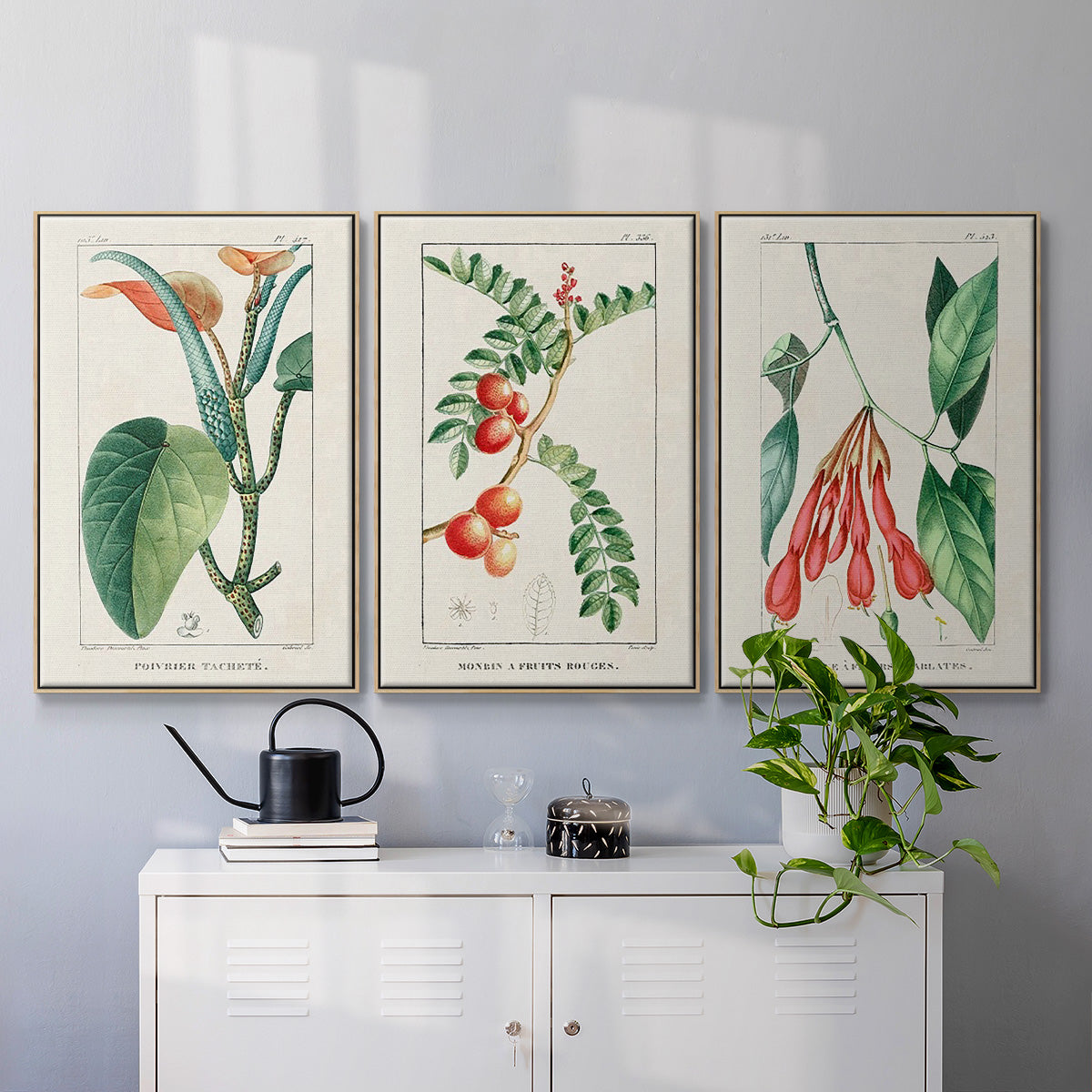 Turpin Tropical Botanicals I - Floater Framed Canvas Set