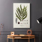 Botanical Society Ferns II - Canvas Art Print