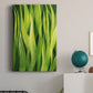 Blades of Grass I Premium Gallery Wrapped Canvas - Ready to Hang