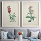 Traditional Botanical I - Premium Framed Canvas 2 Piece Set - Ready to Hang