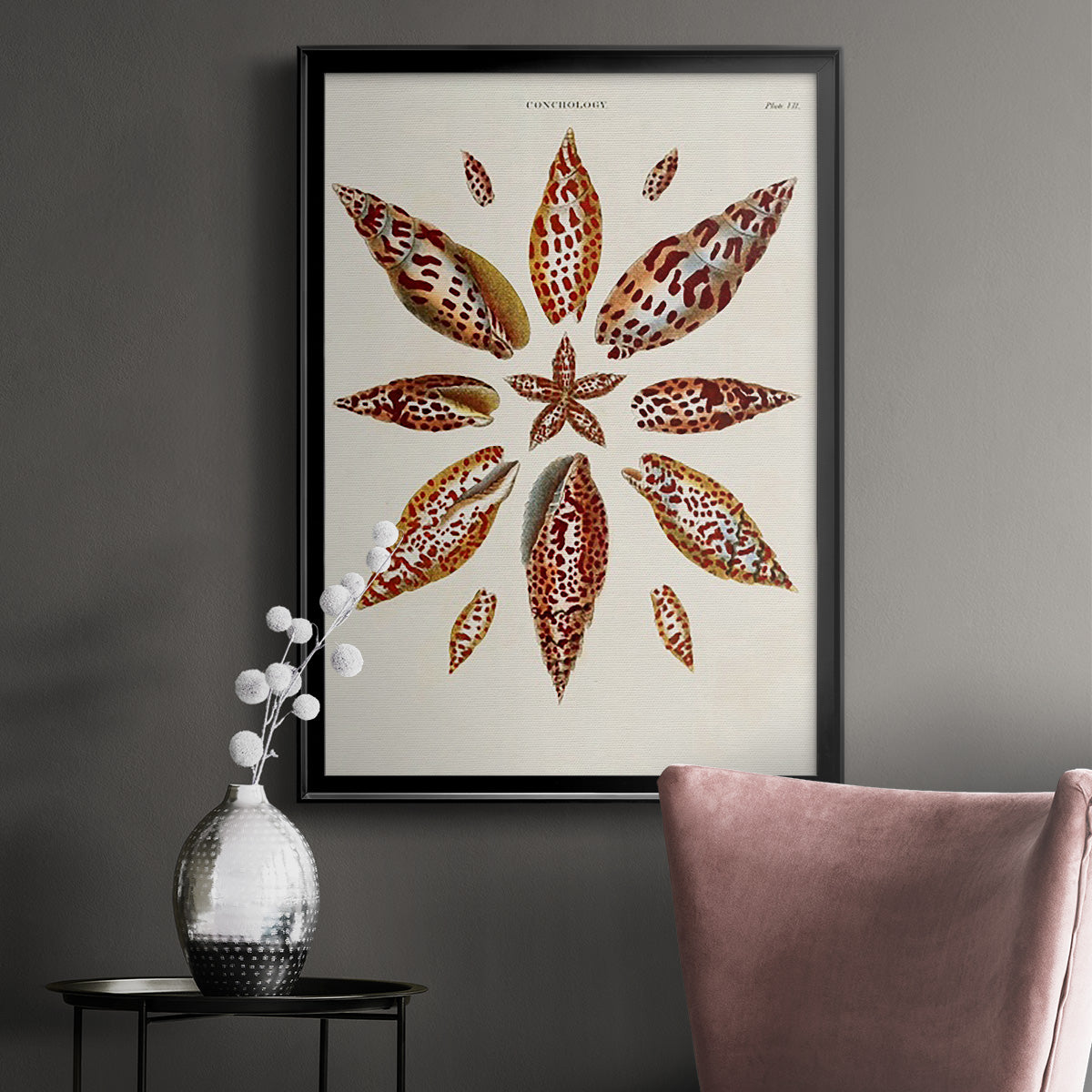 Spiral Shell Formation I - Modern Framed Canvas Print