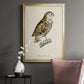 French Owls I - Modern Framed Canvas Print