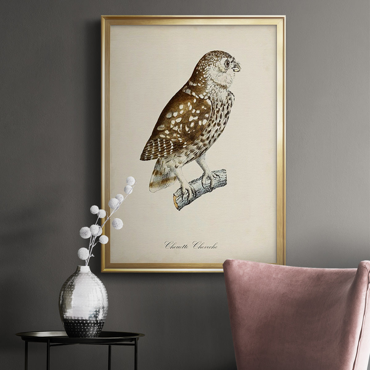 French Owls I - Modern Framed Canvas Print