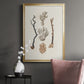 Knorr Shells & Coral V - Modern Framed Canvas Print