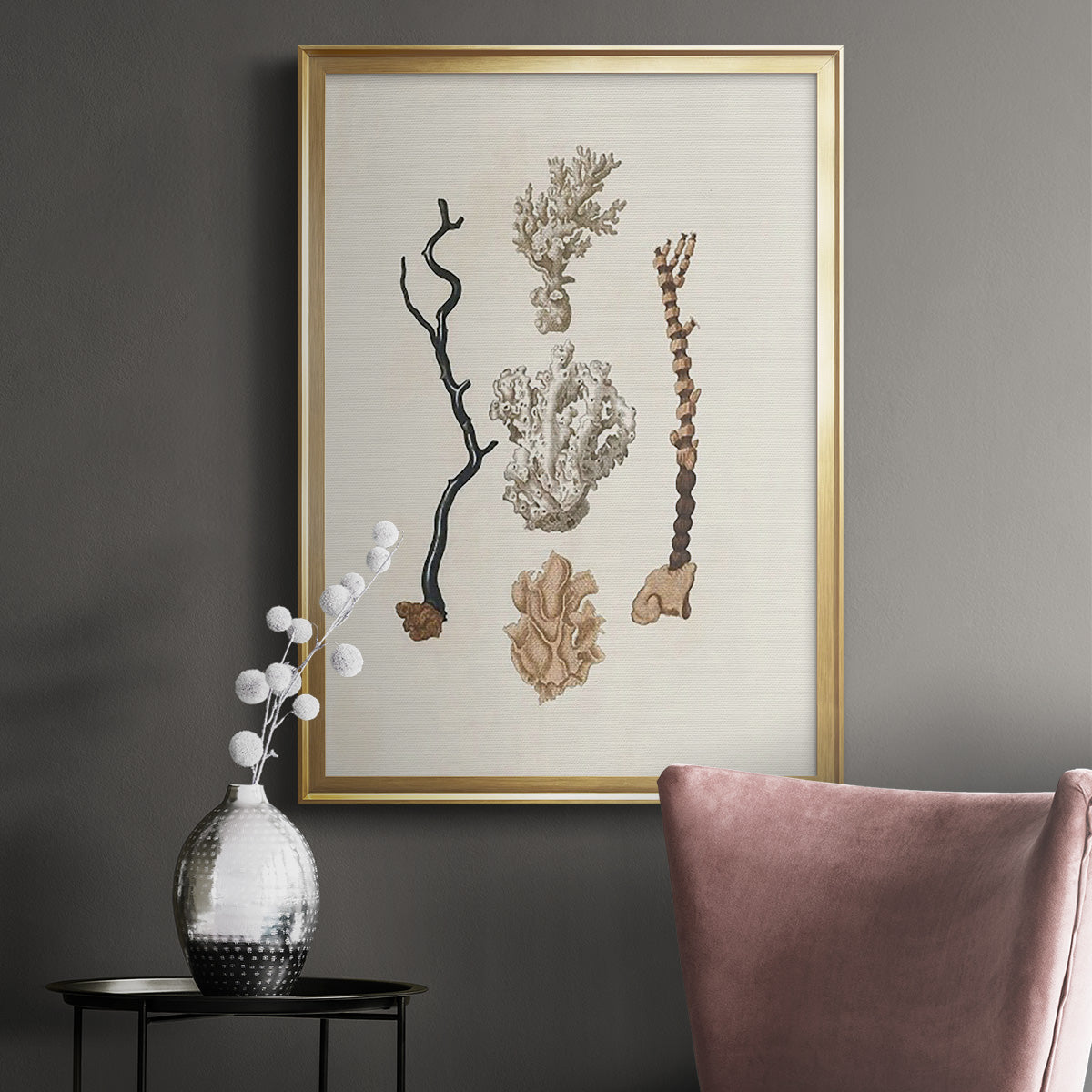 Knorr Shells & Coral V - Modern Framed Canvas Print