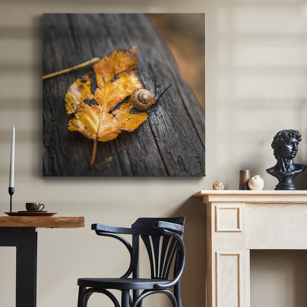 Snail's Pace - Canvas Art Print