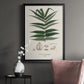 Botanical Society Ferns XII - Modern Framed Canvas Print