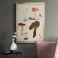 Mushroom Species XI - Modern Framed Canvas Print
