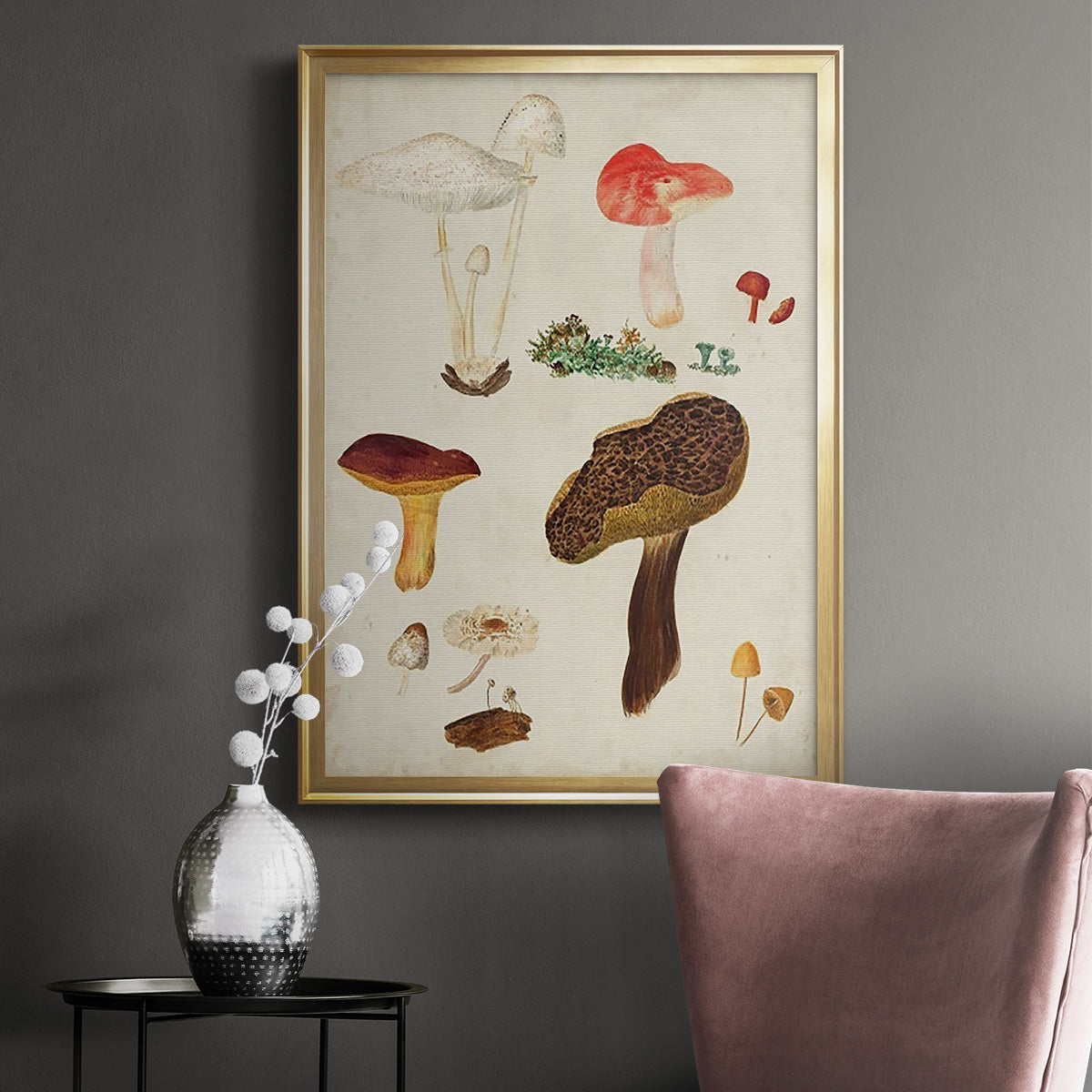 Mushroom Species XI - Modern Framed Canvas Print