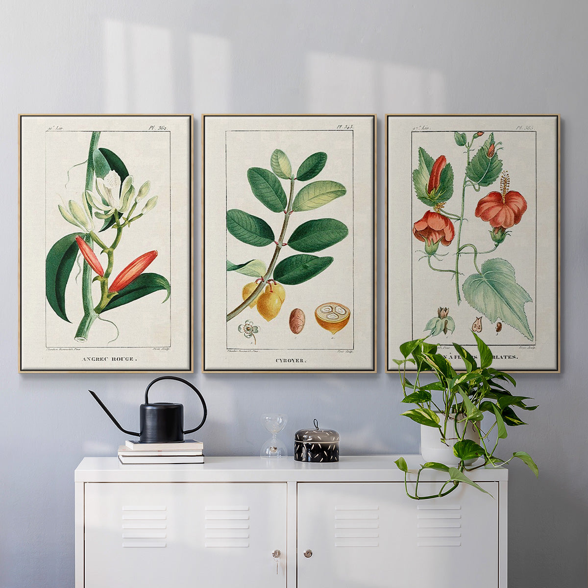 Turpin Tropical Botanicals IV - Framed Premium Gallery Wrapped Canvas L Frame 3 Piece Set - Ready to Hang