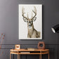 Handsome Whitetail I - Canvas Art Print