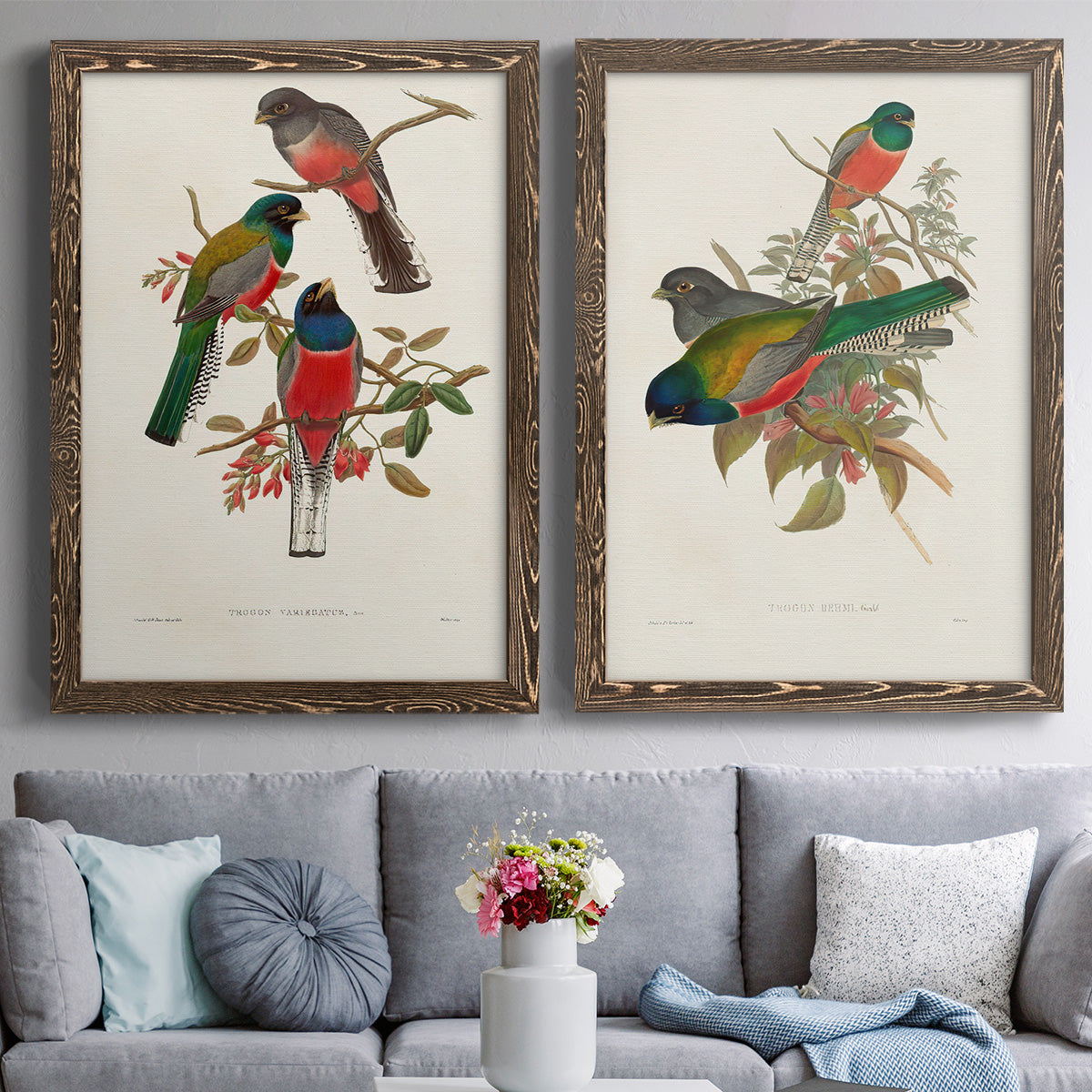 Elegant Trogons IX - Premium Framed Canvas 2 Piece Set - Ready to Hang