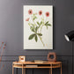 Flowers of the Seasons VIII - Canvas Art Print