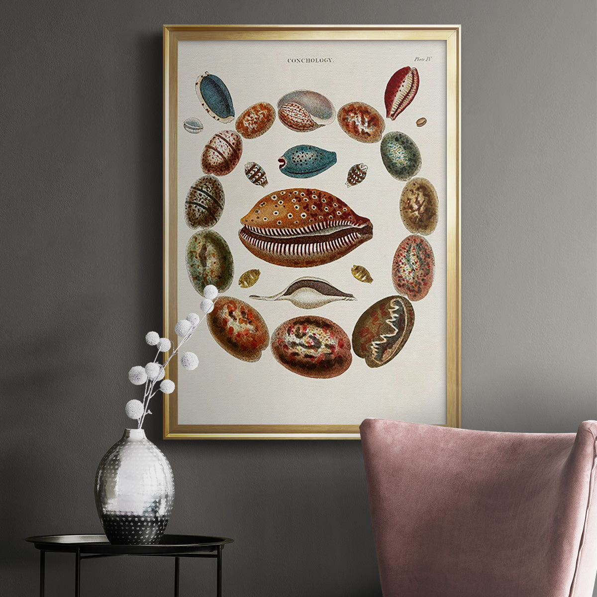 Spiral Shell Formation II - Modern Framed Canvas Print