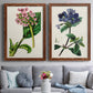 Set of two maple barnwood framed canvas prints depicting paired antique botanical plate illustrations with detailed blossoms, leaves, roots, and archival cream grounds above a sofa in a contemporary living room.