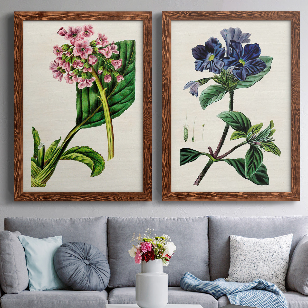 Set of two maple barnwood framed canvas prints depicting paired antique botanical plate illustrations with detailed blossoms, leaves, roots, and archival cream grounds above a sofa in a contemporary living room.