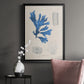 Blue Marine Algae VIII - Modern Framed Canvas Print