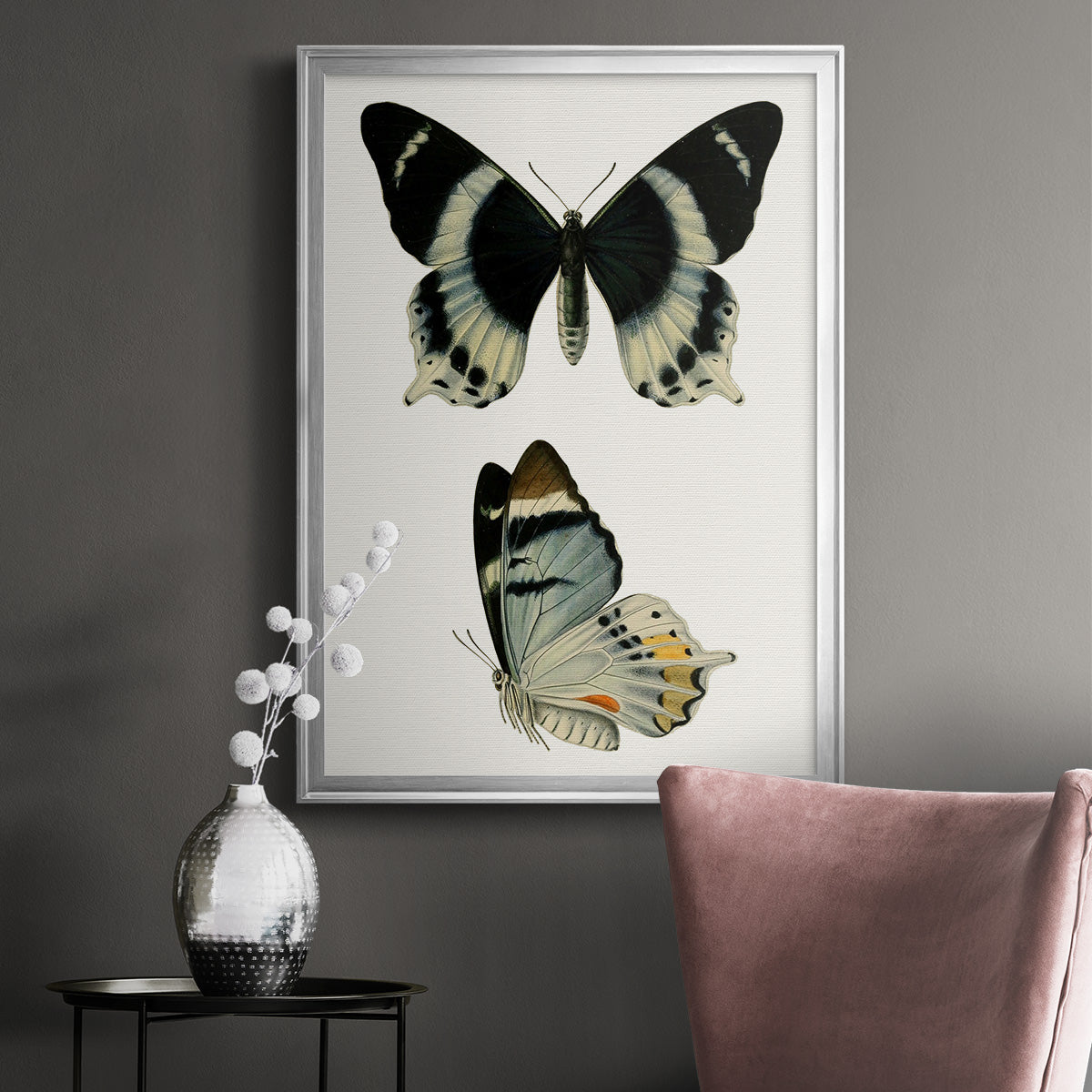 Antique Blue Butterflies I - Modern Framed Canvas Print