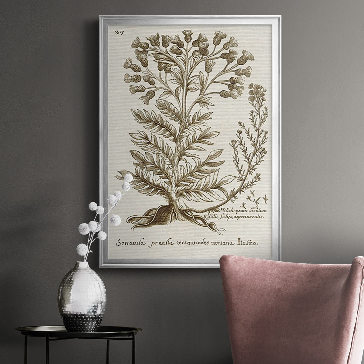 Sepia Botanical Journal I - Modern Framed Canvas Print