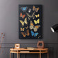 Collected Flutter IV - Canvas Art Print