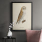 French Owls VI - Modern Framed Canvas Print