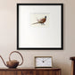 Pheasant Splash 2 Premium Framed Print Double Matboard