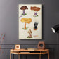 Mushroom Species VII - Canvas Art Print