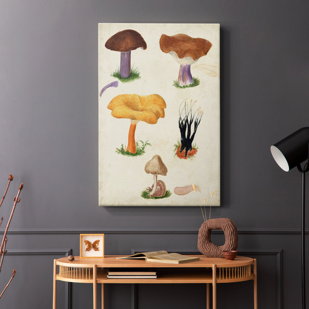 Mushroom Species VII - Canvas Art Print