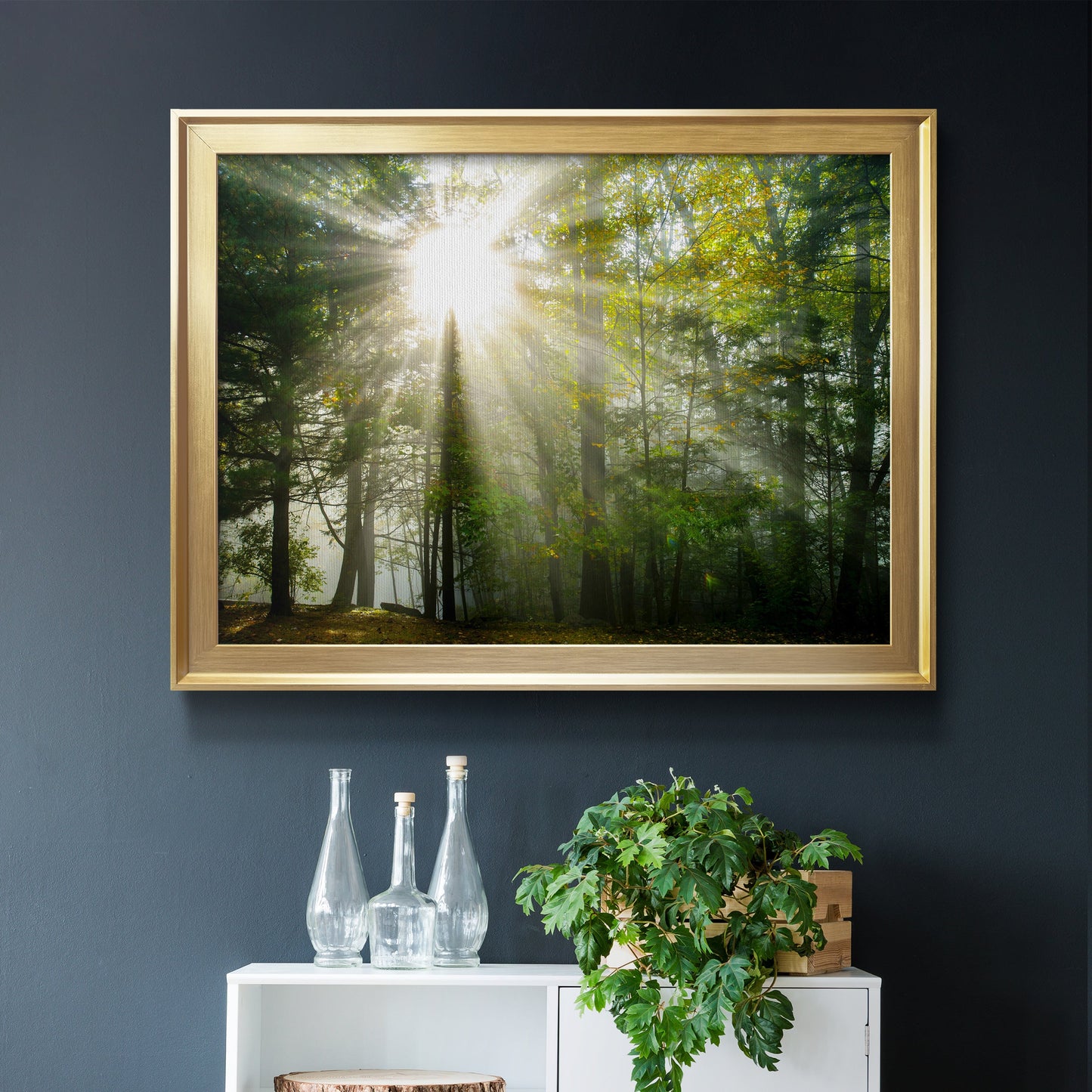 Light and Trees II Premium Classic Framed Canvas - Ready to Hang